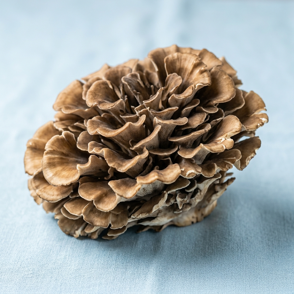 Maitake · 25mg